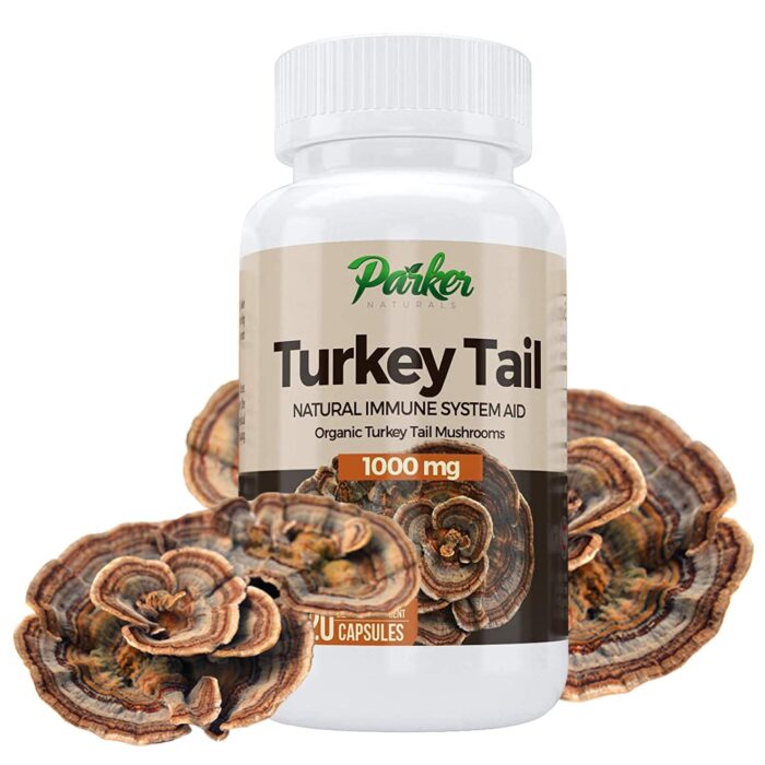 Buy turkey tail mushroom capsules online